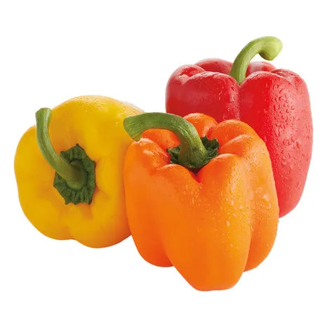 Peppers, Rainbow  x 2 ct