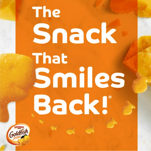 Pepperidge Farm Goldfish Flavor Blasted Crackers  Xtra Cheddar Snack Packs x 12 Count Multipack