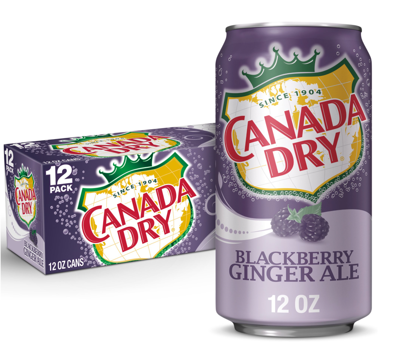 Canada Dry Blackberry Ginger Ale Soda 12 fl oz x 12 ct