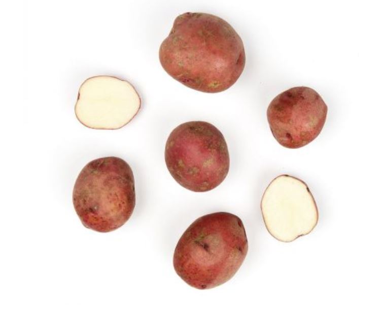 Potatoes, Red x 5 lb